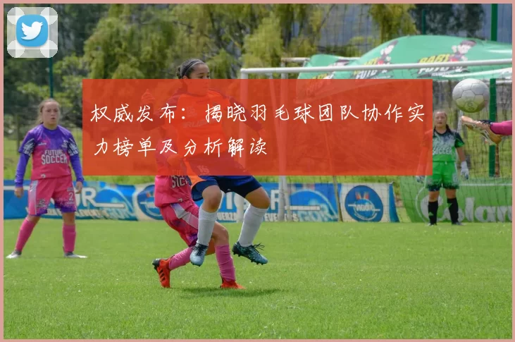 权威发布：揭晓羽毛球团队协作实力榜单及分析解读