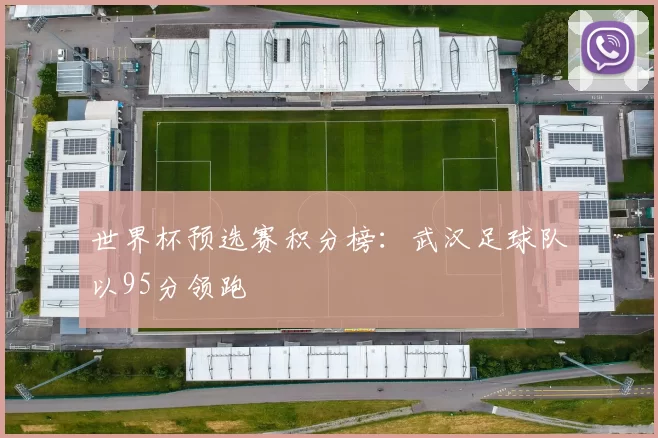 世界杯预选赛积分榜：武汉足球队以95分领跑
