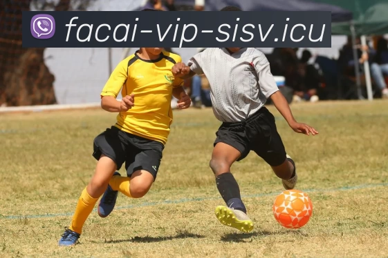 MK体育平台生态图